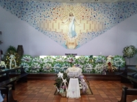 Miniatura da imagem